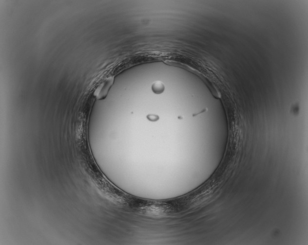 X0000115690412200912031447