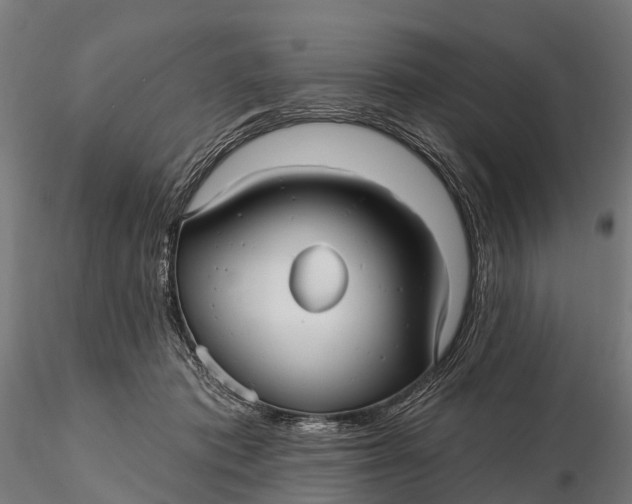 X0000115690413200912031447