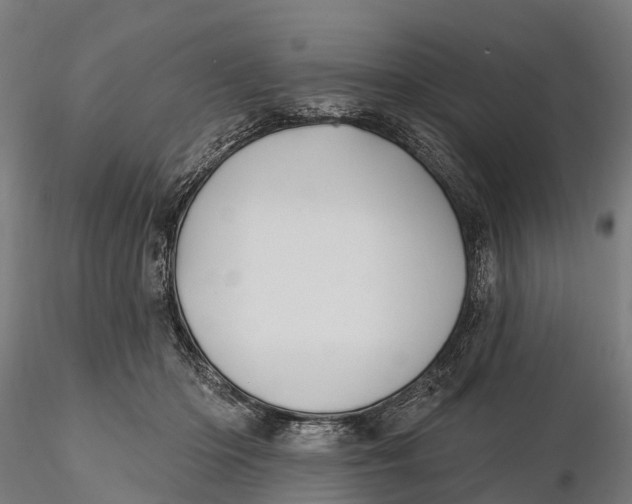 X0000115690414200912031447