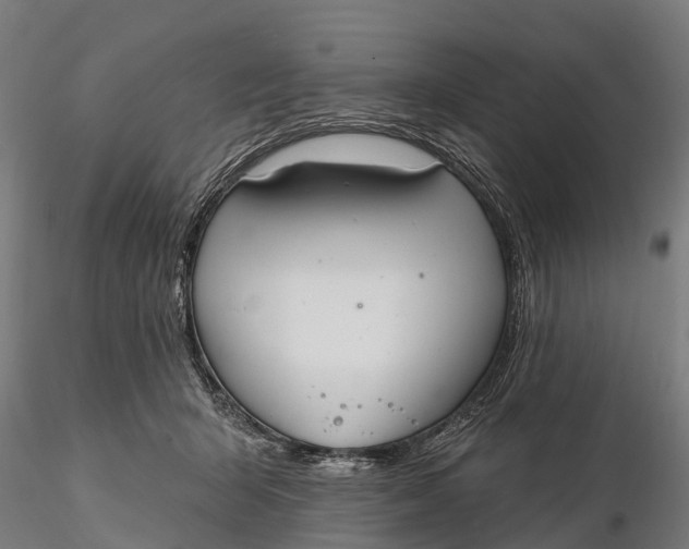 X0000115690415200912031447