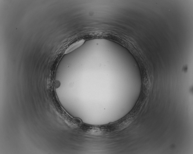 X0000115690416200912031447