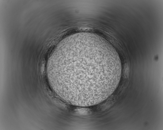 X0000115690417200912031447