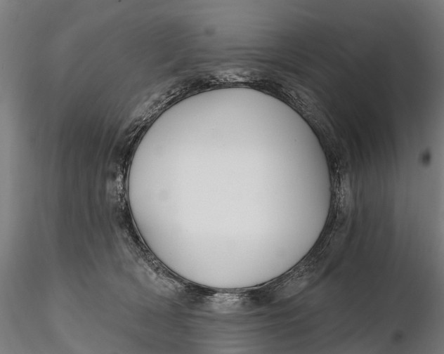 X0000115690418200912031447