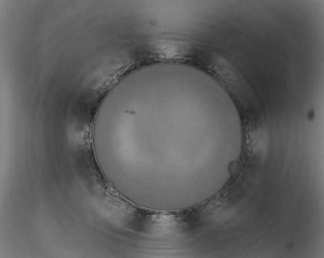 X0000115690419200912031447