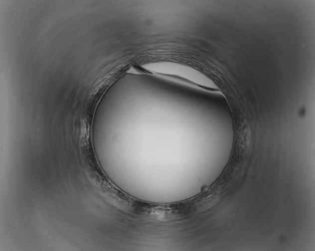 X0000115690420200912031447