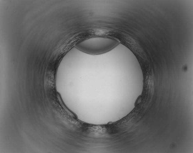 X0000115690421200912031447