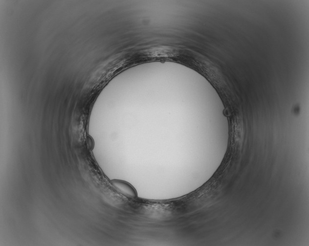 X0000115690422200912031447