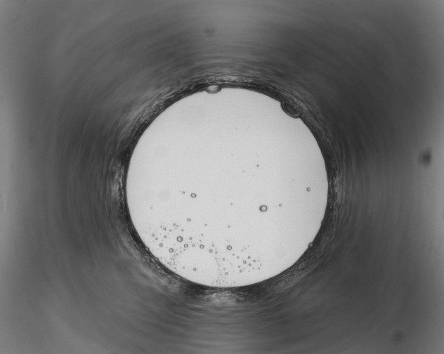 X0000115690423200912031447