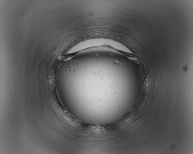 X0000115690424200912031447