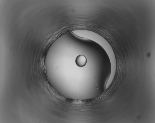 X0000115690425200912031447