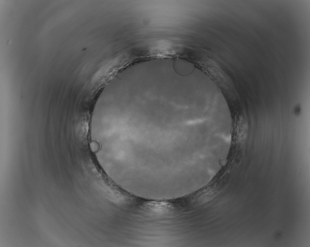 X0000115690427200912031447