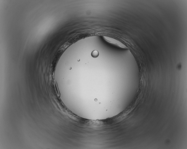 X0000115690429200912031447