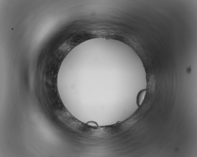 X0000115690430200912031447