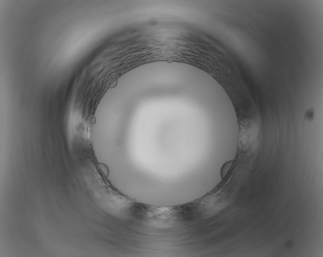 X0000115690431200912031447