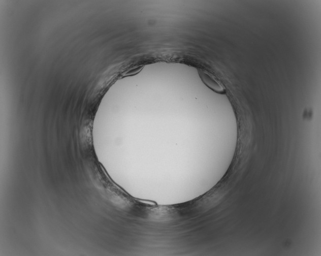 X0000115690432200912031447