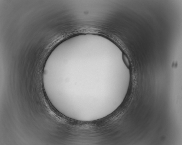 X0000115690433200912031446