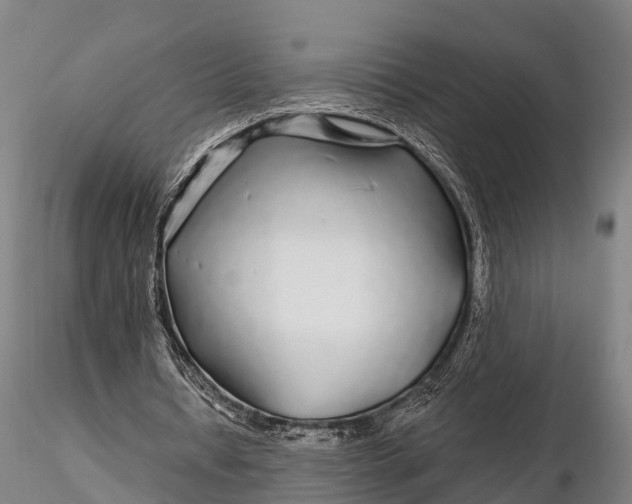 X0000115690434200912031446