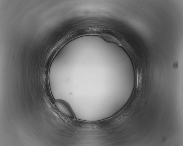 X0000115690435200912031446