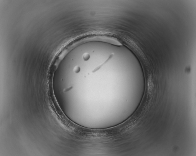 X0000115690436200912031446