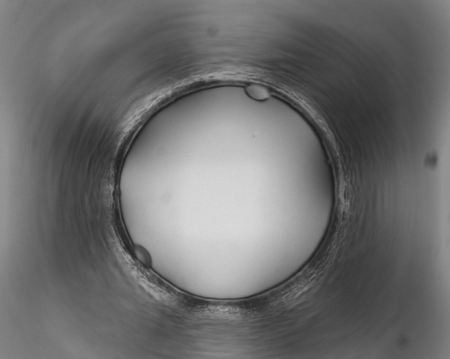 X0000115690437200912031446