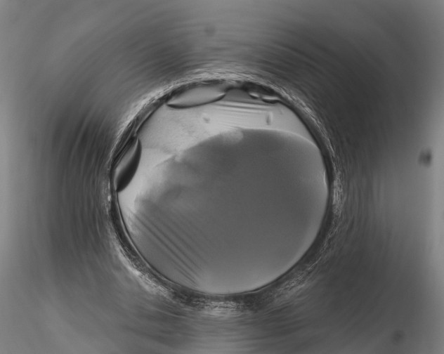 X0000115690438200912031446