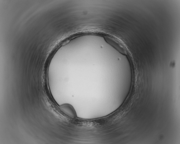 X0000115690439200912031446