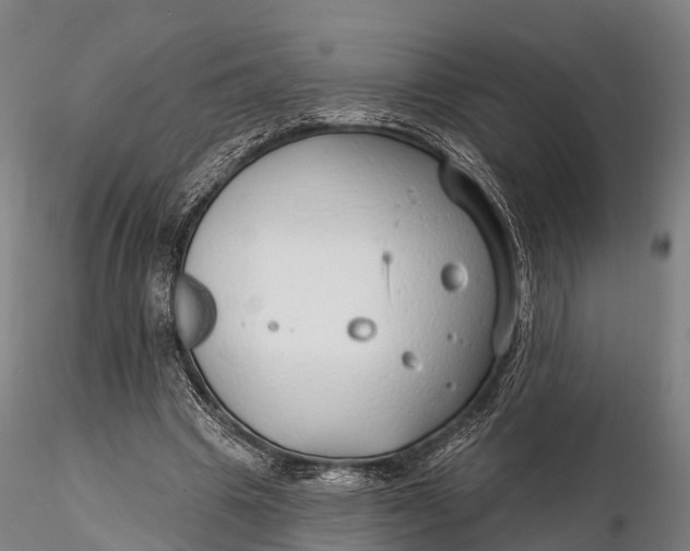 X0000115690441200912031446