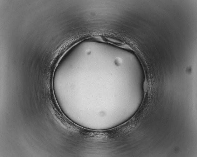 X0000115690443200912031446