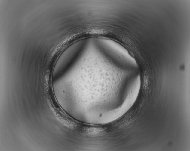 X0000115690444200912031446