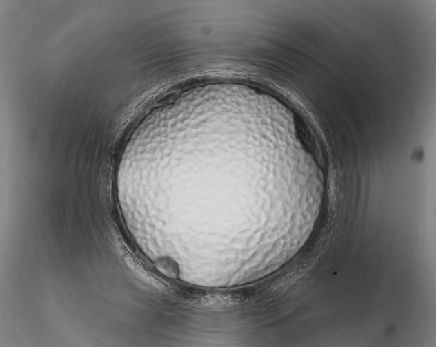 X0000115690445200912031446