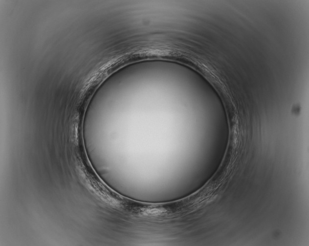 X0000115690446200912031446