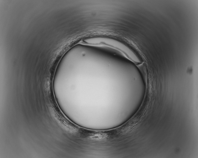 X0000115690447200912031446