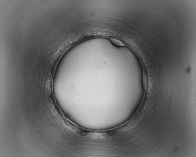 X0000115690449200912031446