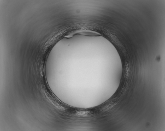 X0000115690450200912031446