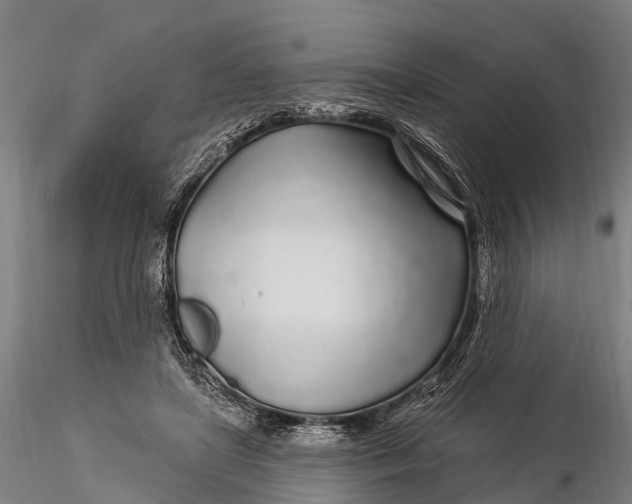 X0000115690451200912031446