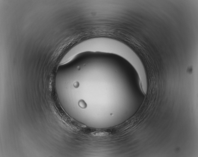 X0000115690452200912031446