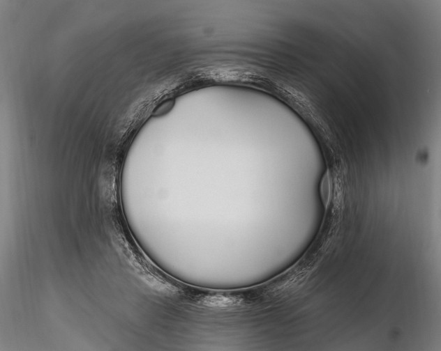 X0000115690453200912031446