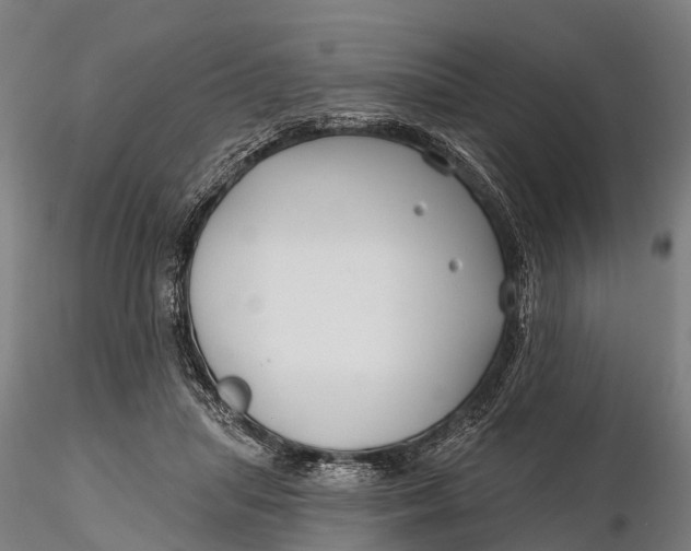 X0000115690455200912031446