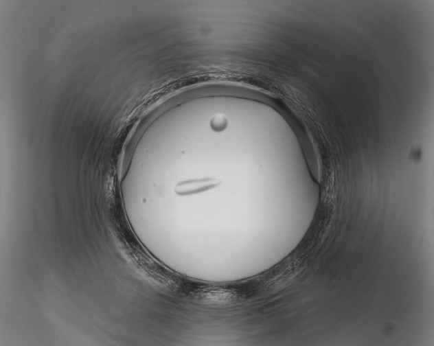 X0000115690456200912031446