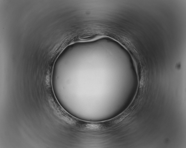 X0000115690457200912031446