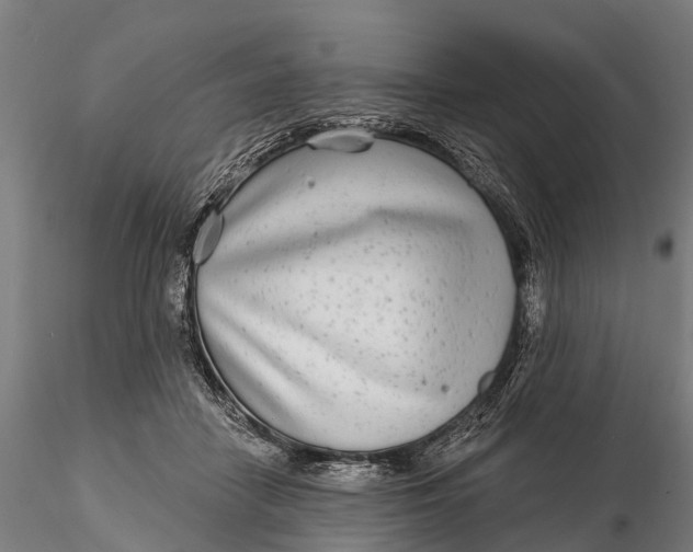 X0000115690458200912031446