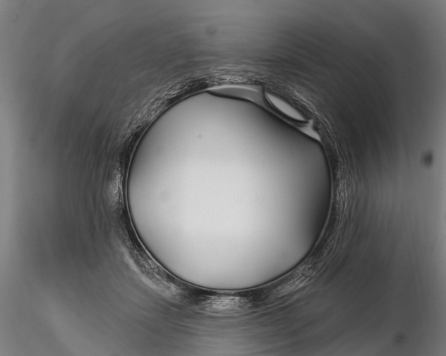 X0000115690459200912031446