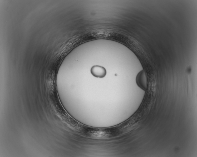 X0000115690460200912031446