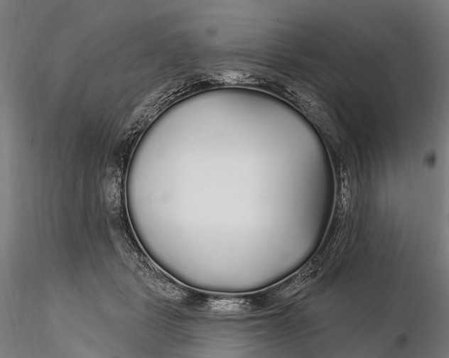 X0000115690461200912031446