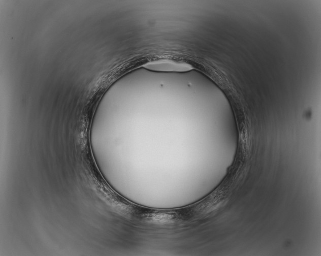 X0000115690462200912031447