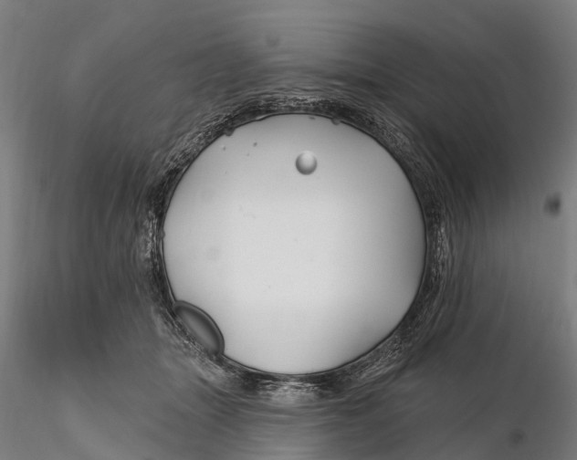 X0000115690463200912031447