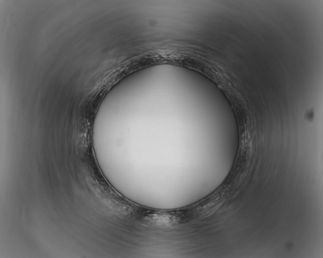 X0000115690464200912031447