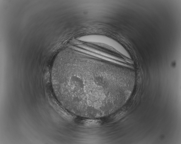 X0000115690465200912031447