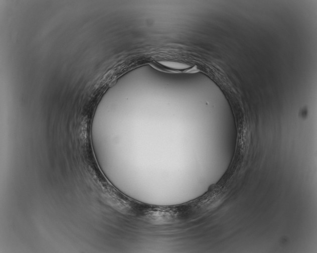 X0000115690466200912031447