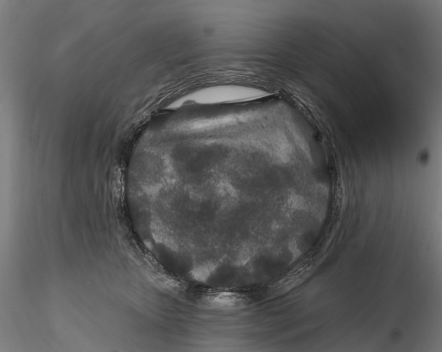 X0000115690467200912031447